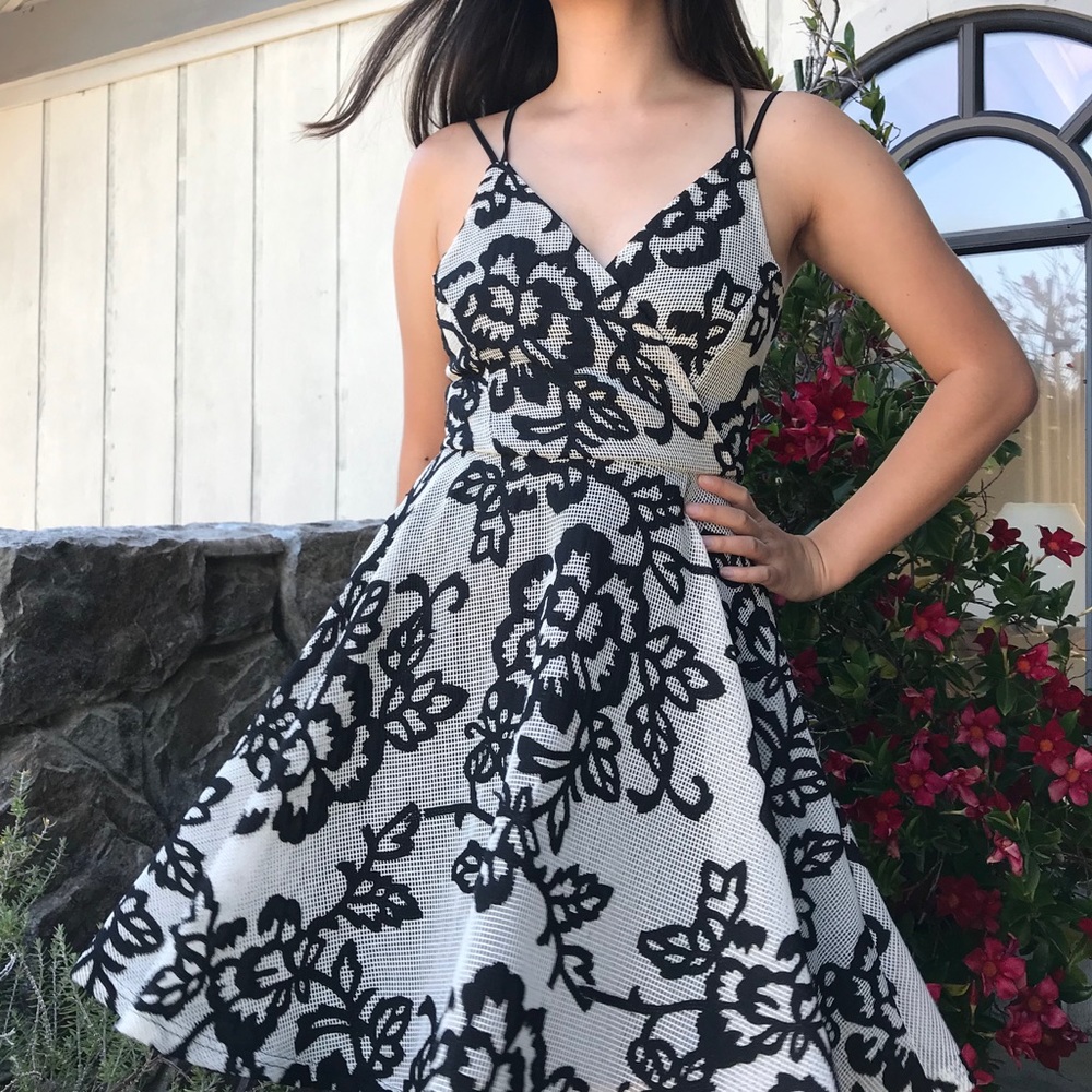 NWT Design Lab Black and White Floral Mesh Skater Dress